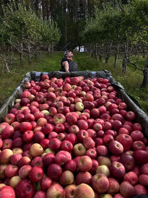AppleBros laajentaa toimintaansa
